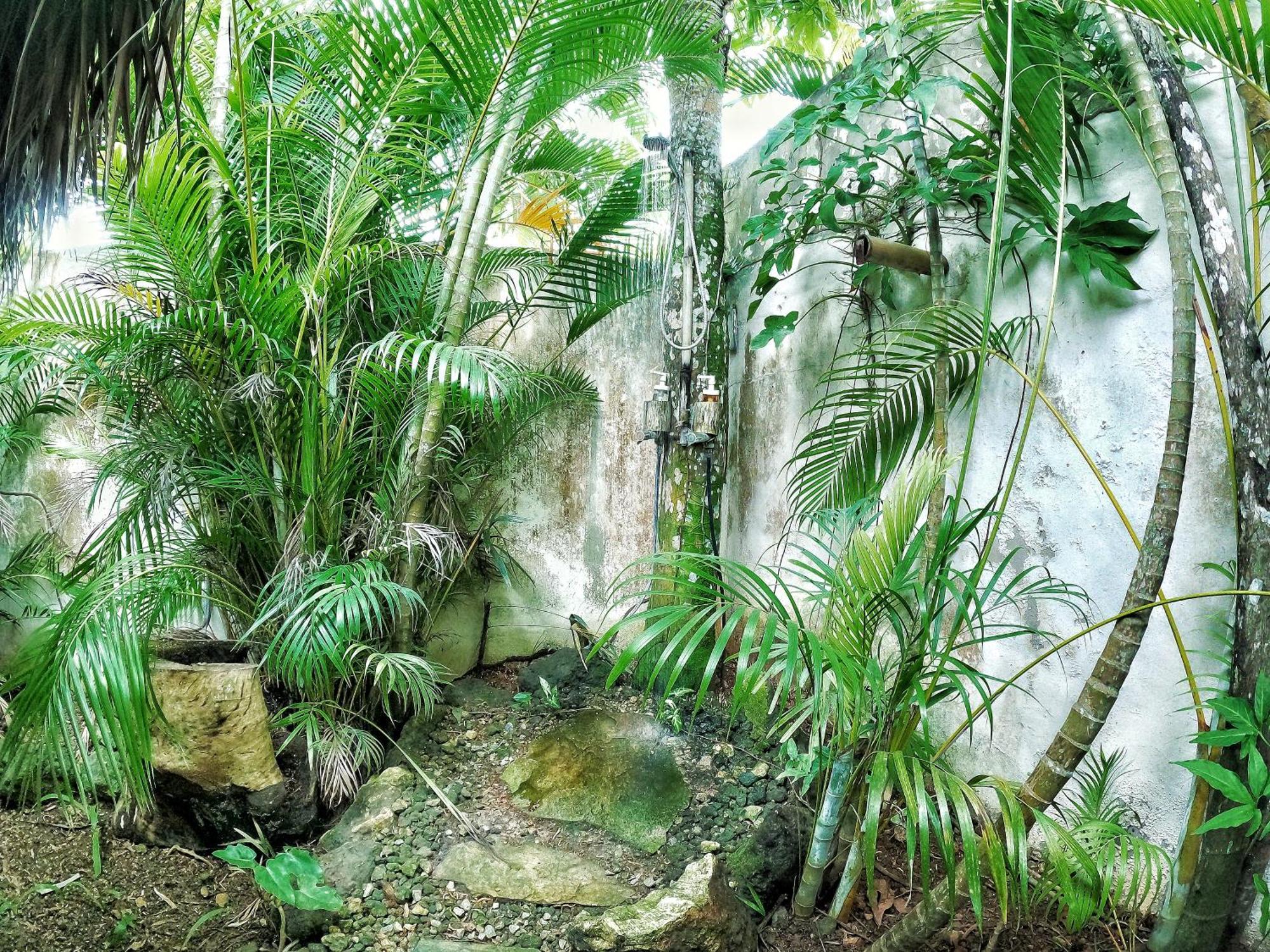 Отель Dream Glamping Jungle Bohio Лас Терренас Экстерьер фото
