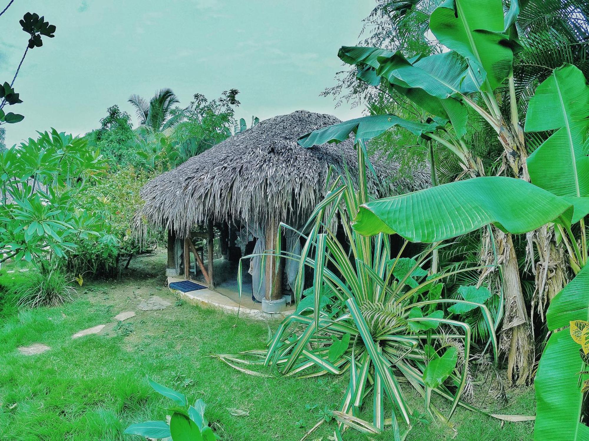 Отель Dream Glamping Jungle Bohio Лас Терренас Экстерьер фото
